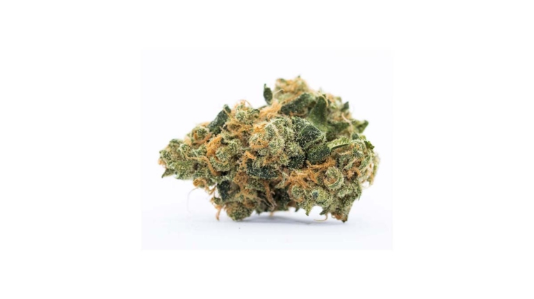 Cannabis und Laufen: Leistung, Erholung & Gesundheit