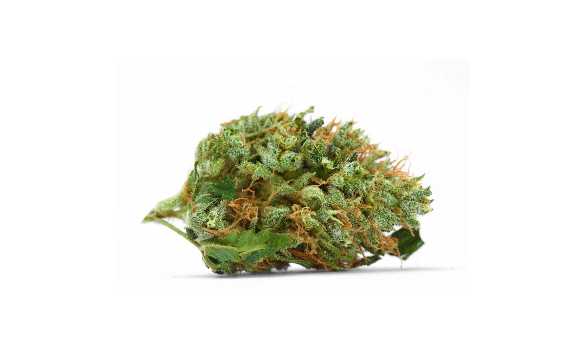LA Confidential: Sorte, Aroma & THC Gehalt