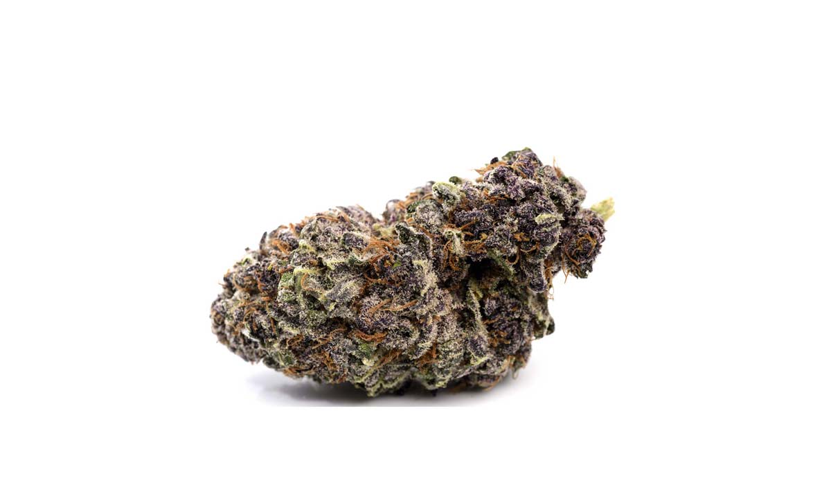 Cannabis-Kosten in der Apotheke: Preis & Behandlung