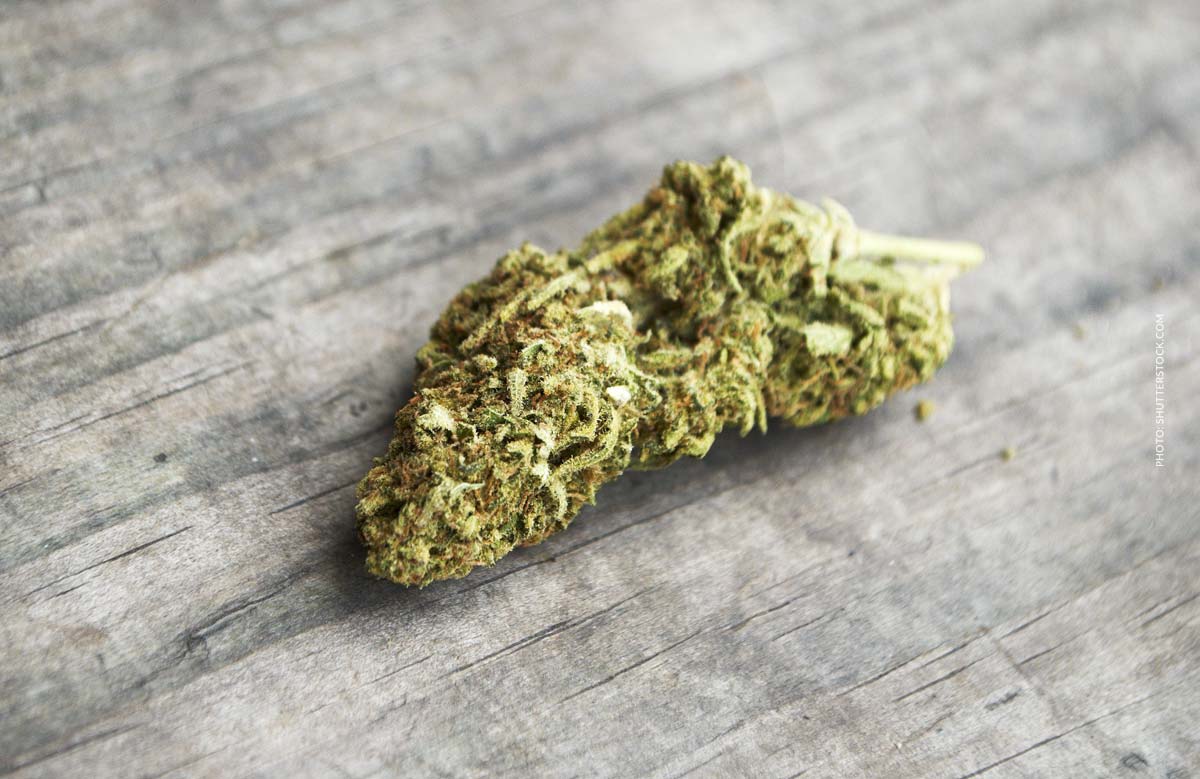 Orange Kush Cake: Sorte, Aroma & THC Gehalt