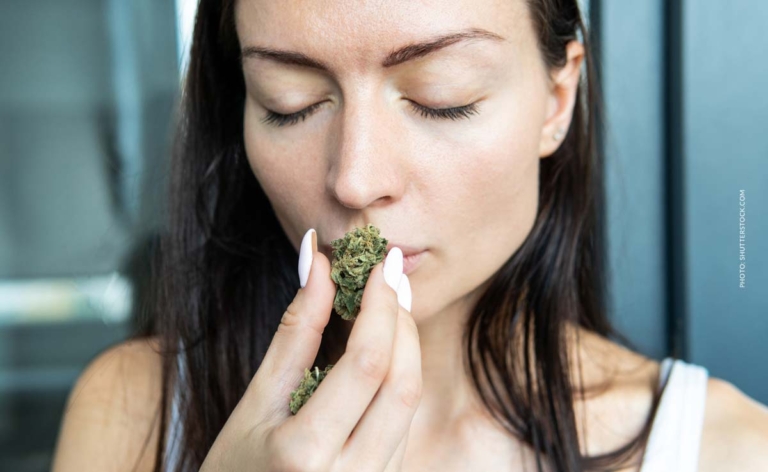 Do-Si-Dos: Sorte, Wirkung & THC Gehalt