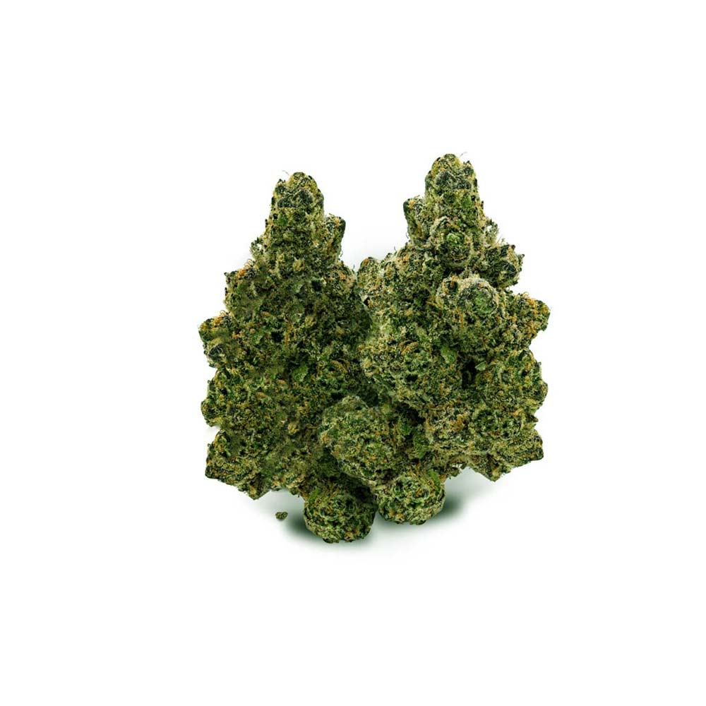 Cm Wedding Tree Cannabis Arzt Rezept Apotheke Shop Blute Thc Wirkung Buds