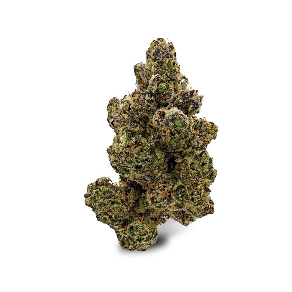 Cm Wedding Tree Cannabis Arzt Rezept Apotheke Shop Blute Thc Wirkung