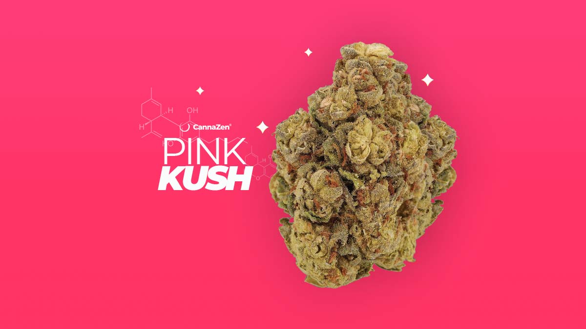 Vanilla Kush: Sorte, Aroma & THC Gehalt