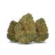 Polar Cookies x 29,0% THC | Cannamedical