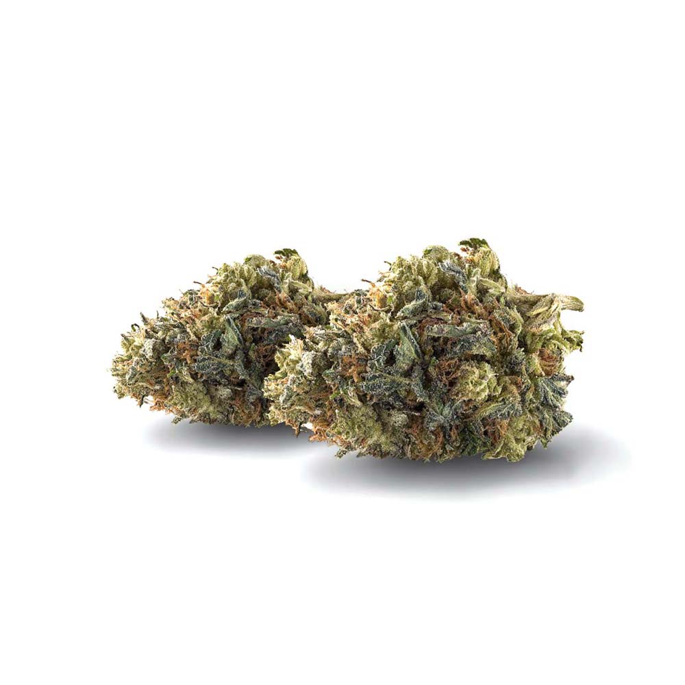 Shop Cannabis Rezept Cannabisblute Blute Blueberry Weed Bestellen Kaufen Shop Buds