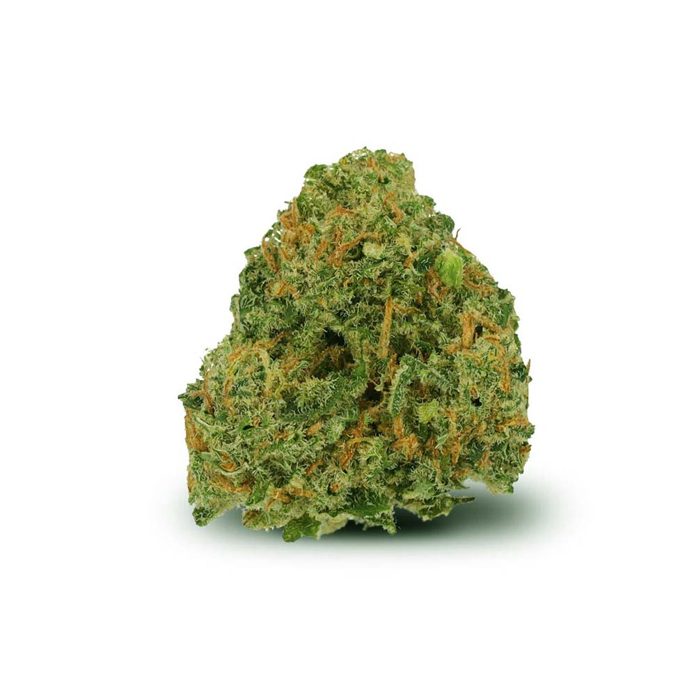 Amsterdam Ammnesia 2 Cannabis Arzt Rezept Apotheke Shop Blute Thc Wirkung