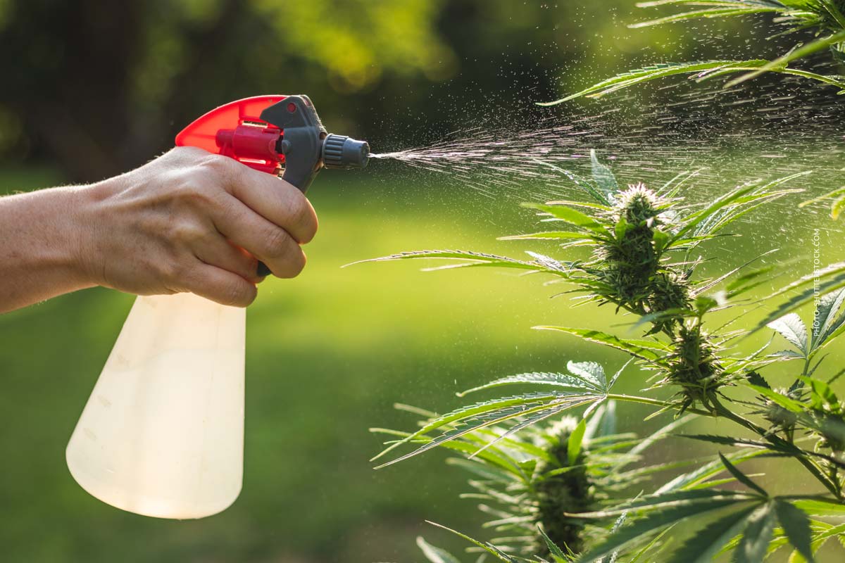 Wieviel Wasser in: Bedarf, Gesundheit, Nutzen & Trinken im Alltag
