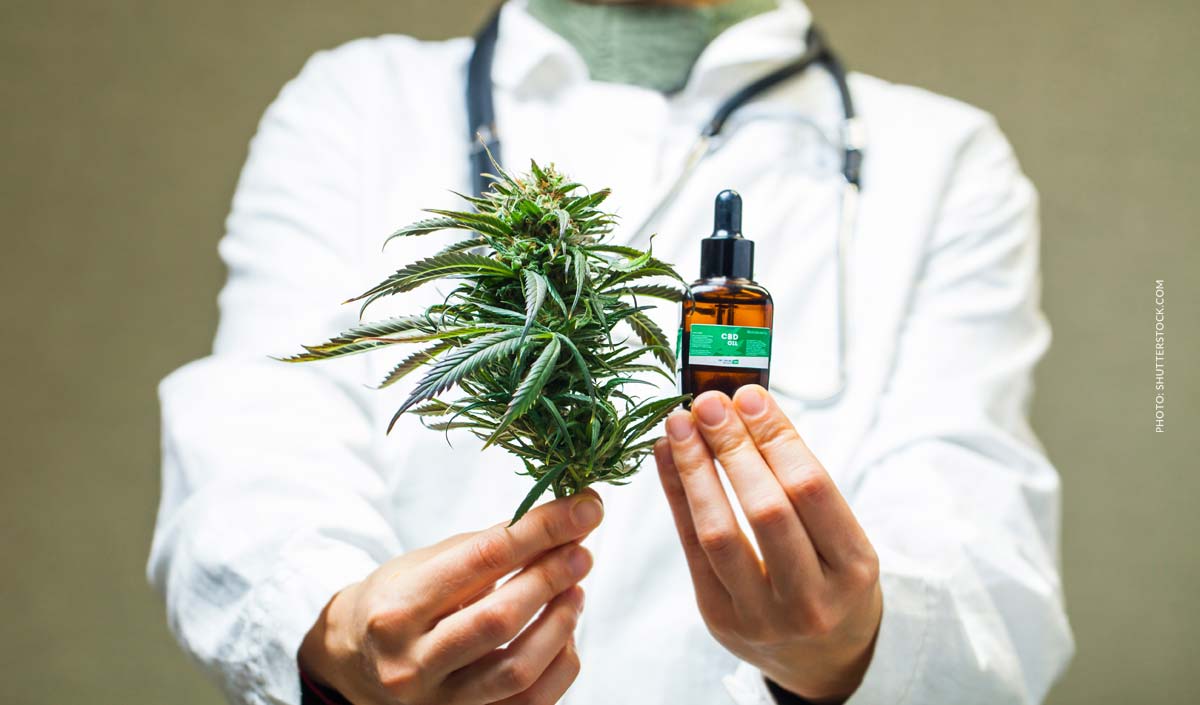 CBD Paste: Anwendung, Vorteile & Qualität