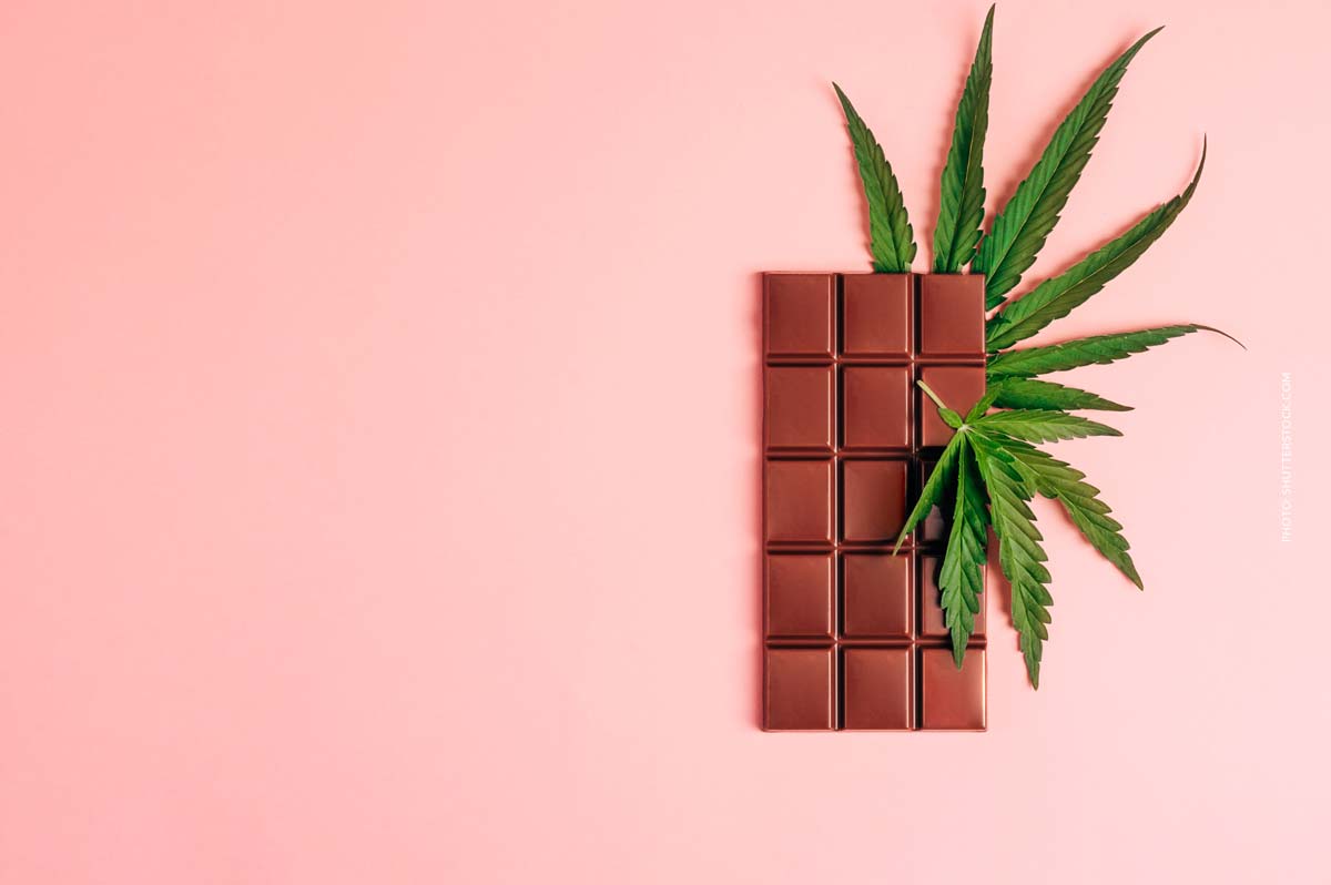 Raspberry Kush: Sorte, Wirkung & THC Gehalt