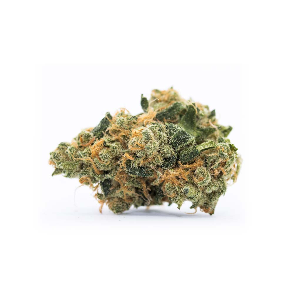 Cannabis Sorte Shop Apotheke White Widow
