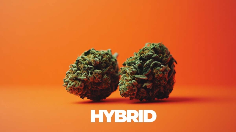 Cannabis bei ADHS: Behandlung, Vorteile & Forschung