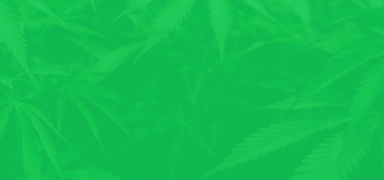 Cannabis online bestellen mit Apple Pay: Neu im Shop, Zen dir mit iPhone!
