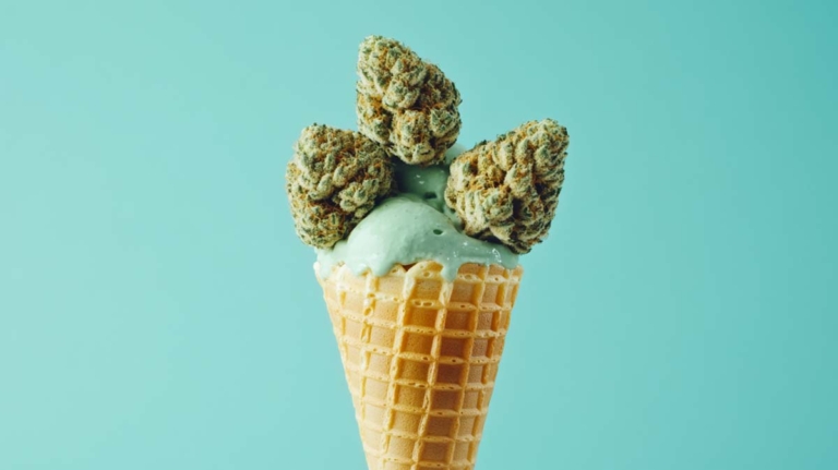 Cannabis Genotypen vs Phänotypen: Eigenschaften, Variation & Einfluss