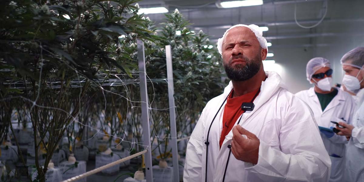 Kiffer Podcast: Cannabis, Genuss, Kultur & Legalität