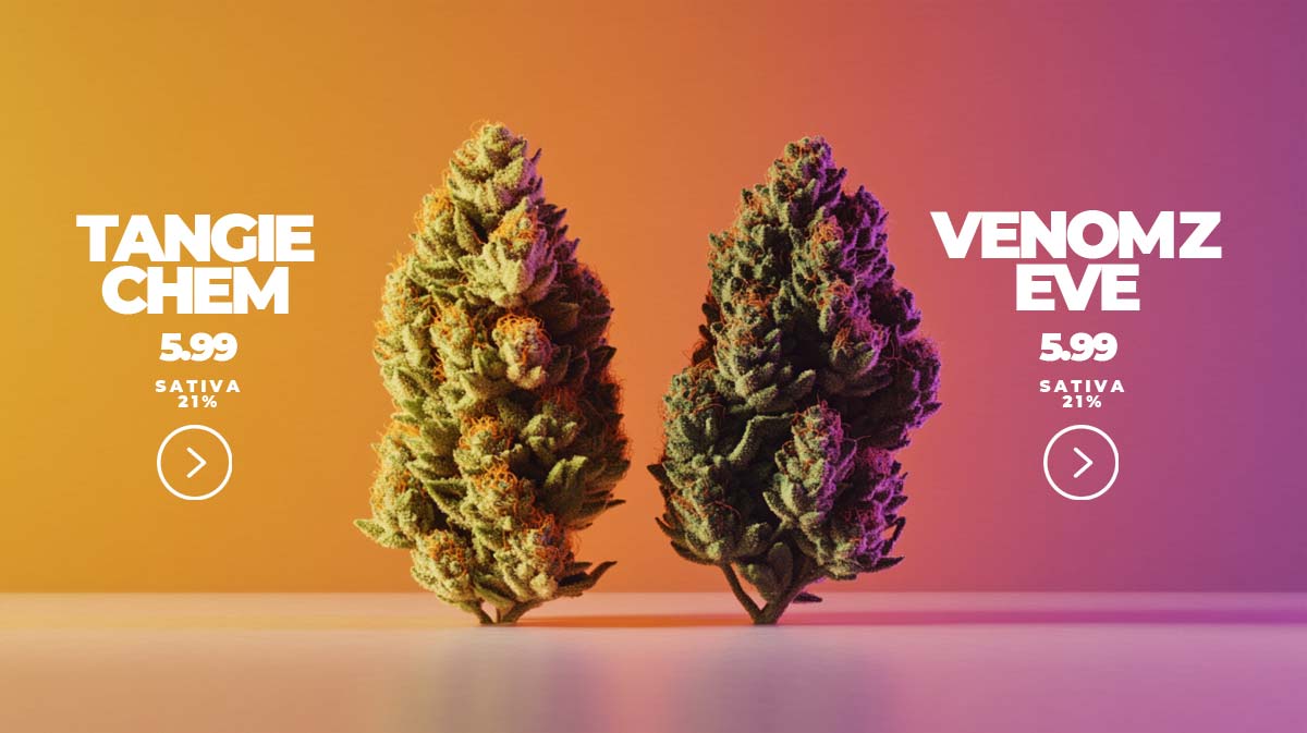 Medizinisches Cannabis kaufen ohne Rezept: Anwendung, Vorteile & Beratung