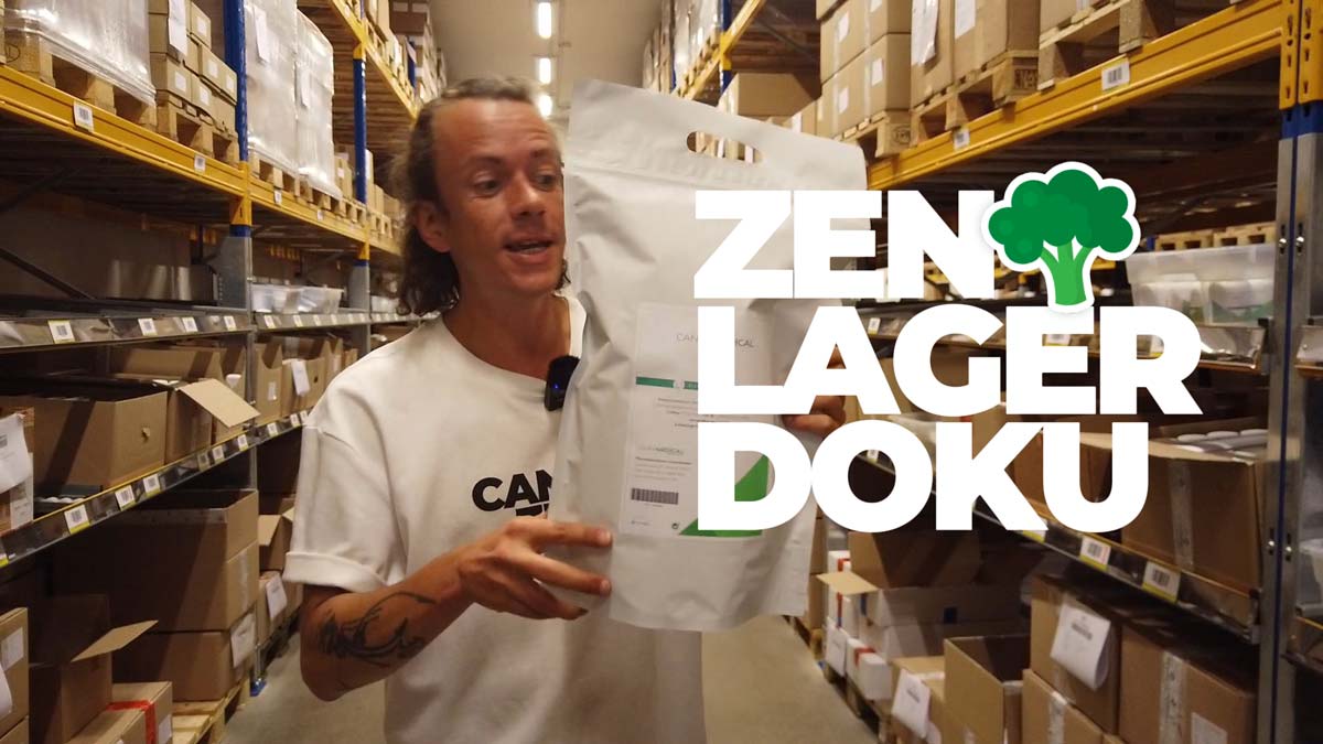 Grass: Weed Doku-Klassiker, Geschichte vom Verbot bis Legalisierung – Film