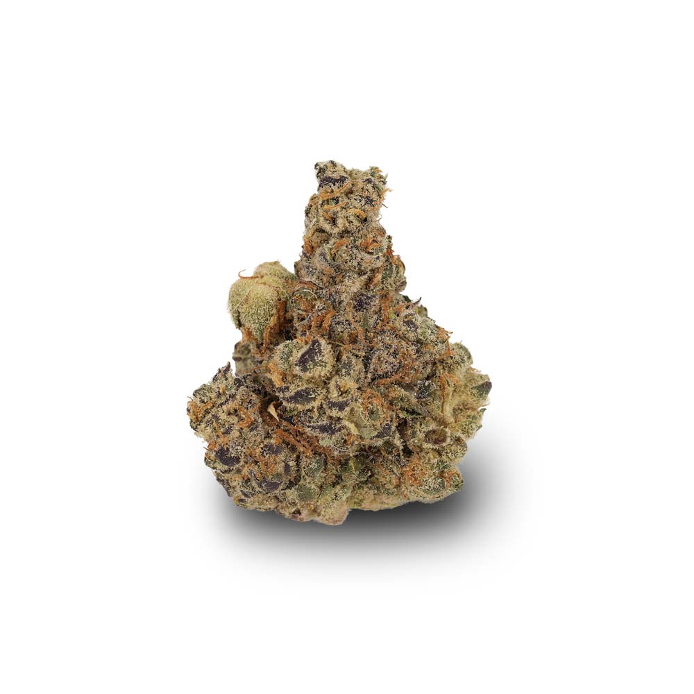 Shop Cannabis Blute Space Cake Bestellen Kaufen Rezept Online Berlin