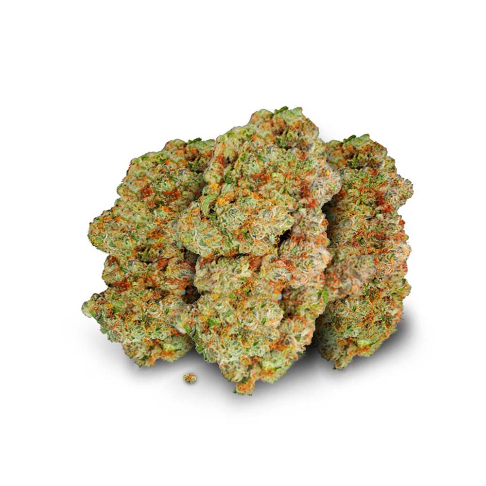Avaay Ocean Grown Cookies Cannabis Arzt Rezept Apotheke Shop Blute Thc Wirkung Buds