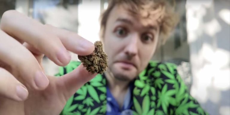 Cannabis Social Club: Gemeinschaft, Regeln & Vorteile