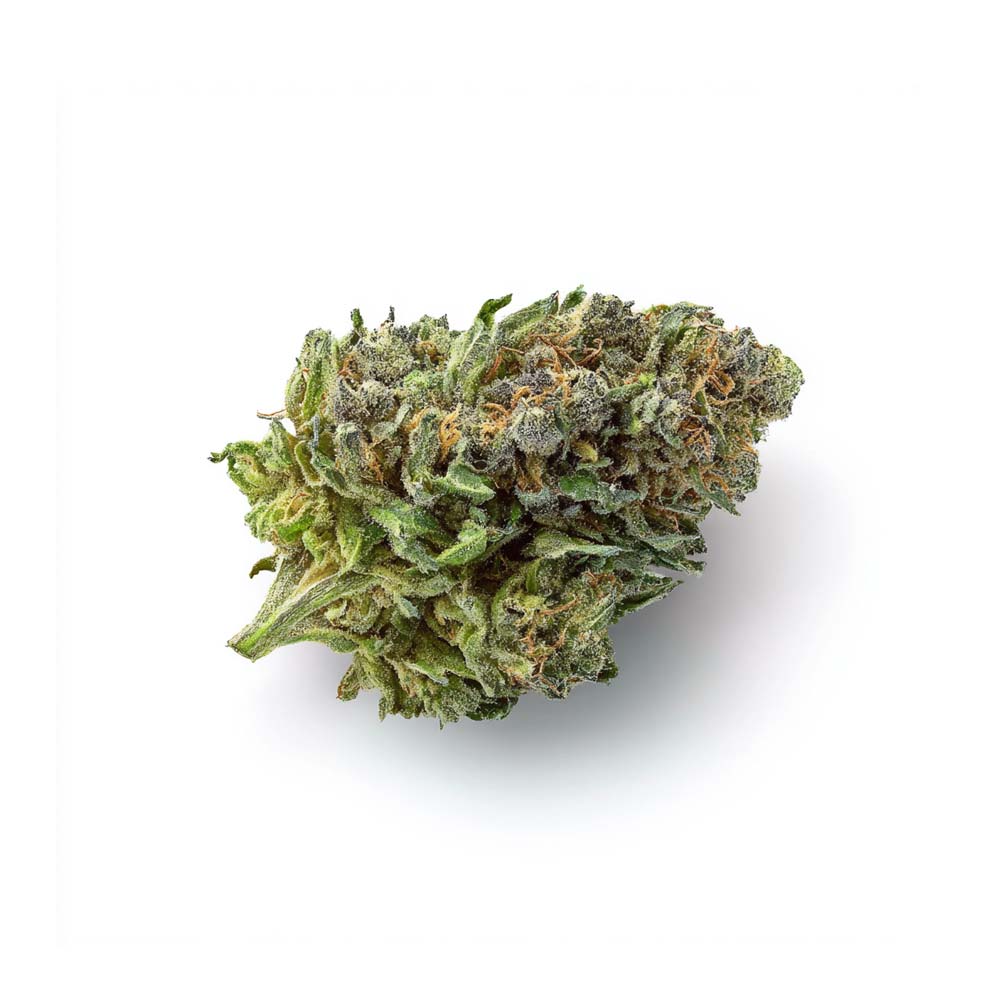 Shop Cannabis Rezept Cannabisblute Blute Afghani Orange Bud Weed Bestellen Kaufen Shop