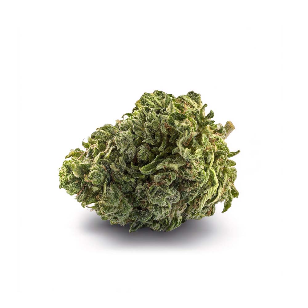 Shop Cannabis Rezept Cannabisblute Blute Ak 47 Weed Bestellen Kaufen Shop