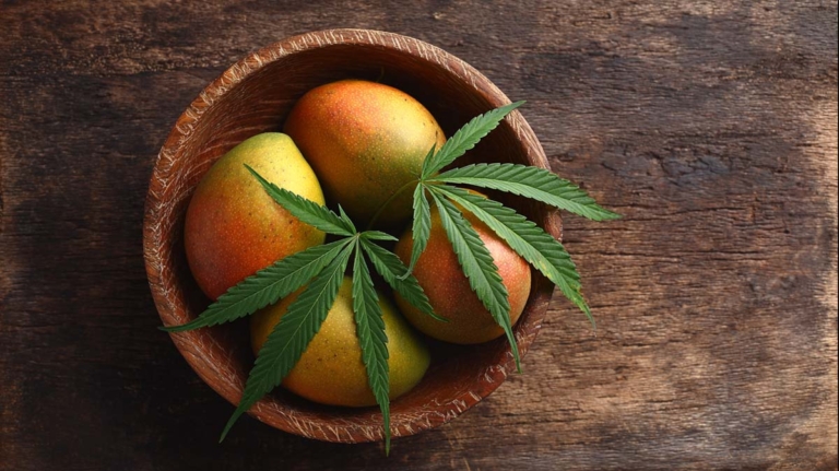 Phantom Cookies: Sorte, Wirkung & THC Gehalt