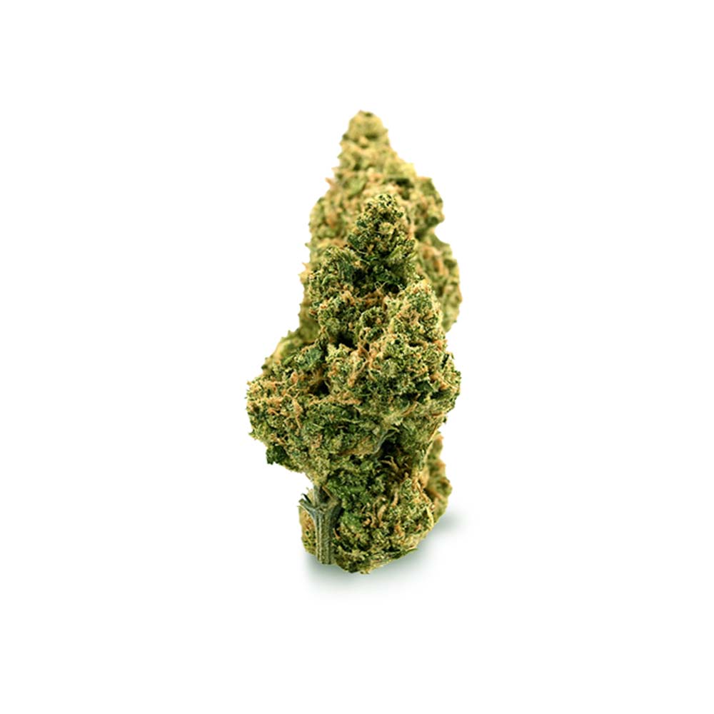 Bud Tropicanna Cookies Shop
