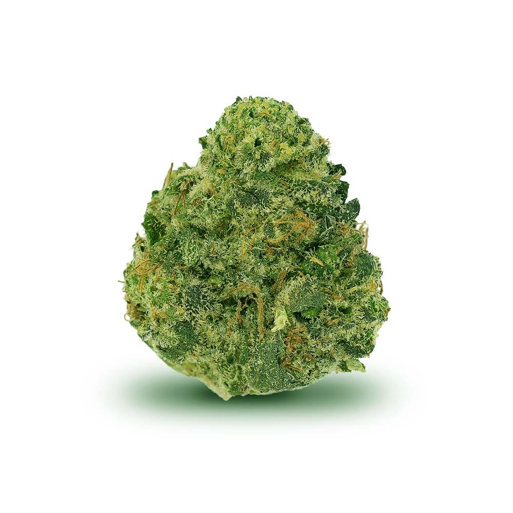 Bud Libras Shop