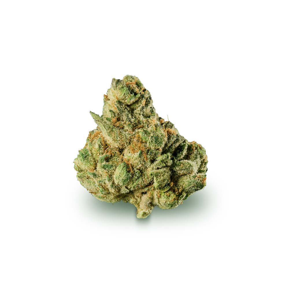 Bud Modified Grapes Shop