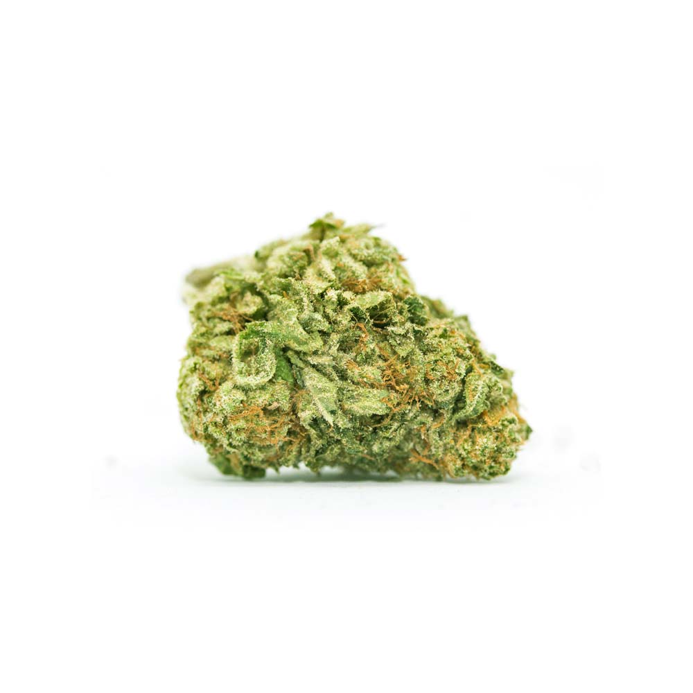 Kush Indoor Cannabis Arzt Rezept Apotheke Shop Blute Thc Wirkung Marihuana