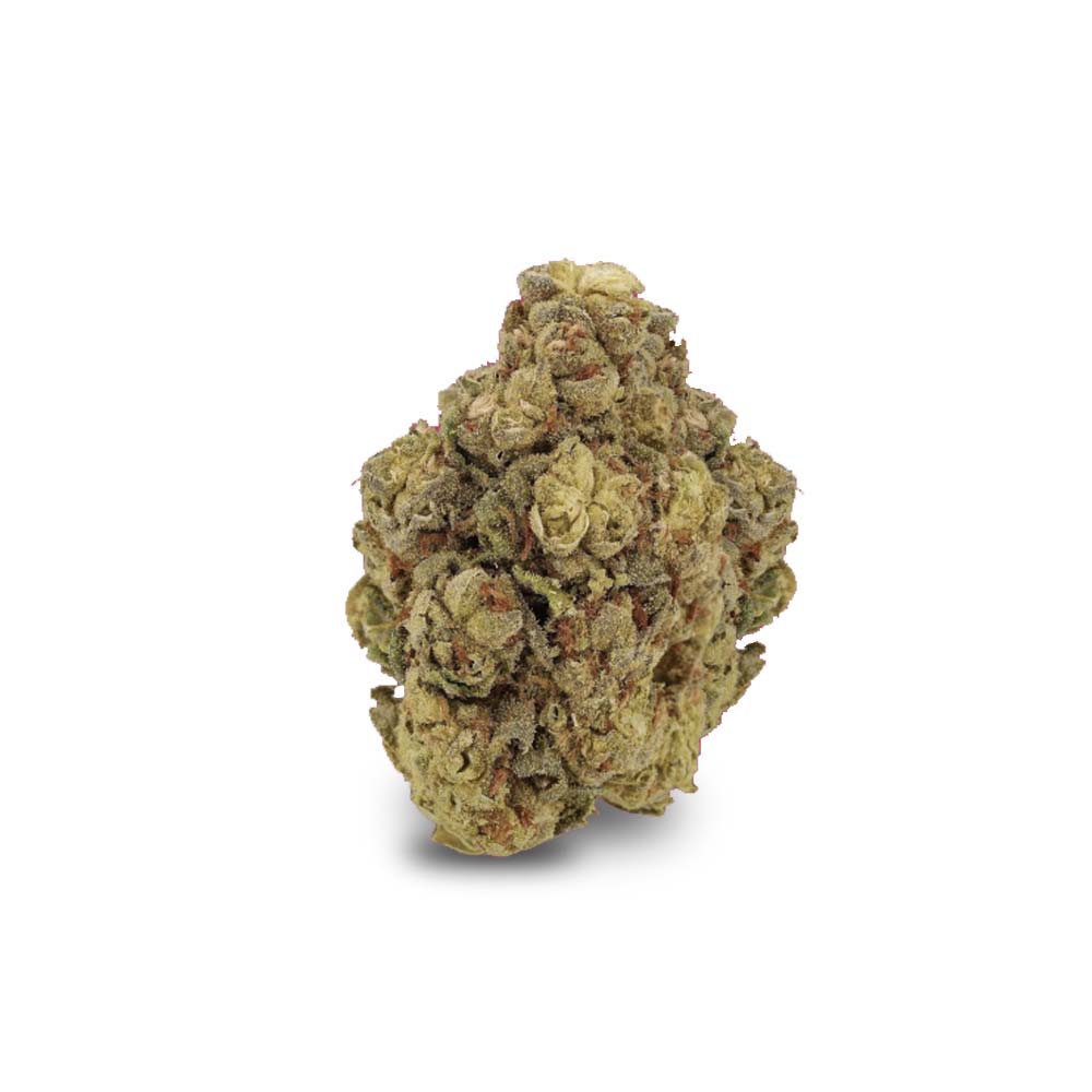 Pink Kush Cannabis Arzt Rezept Apotheke Shop Blute Thc Wirkung