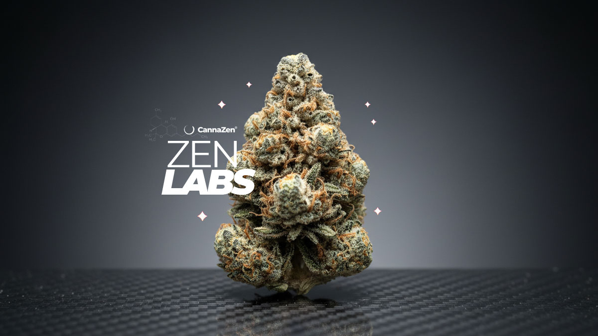 Ghost Train Haze: Sorte, Aroma & THC Gehalt – Jetzt nur 4,99€