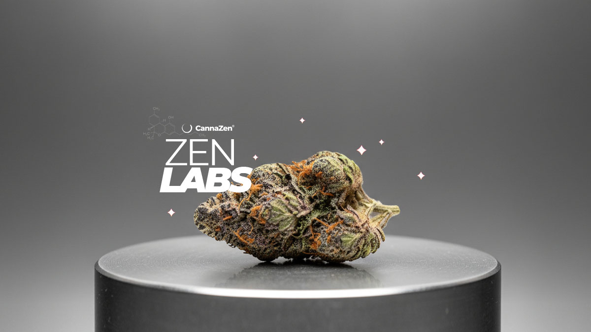 Cannabis bei Fibromyalgie: Linderung, Schmerzen & Behandlung