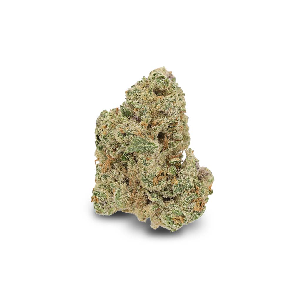 Cannabis Blute Shop Alpha Biscuit Kaufen Bestellen Rezept Online Ulm