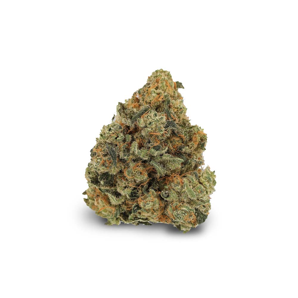 Cannabis Blute Shop Girl Scout Cookies Kaufen Bestellen Rezept Online Koeln
