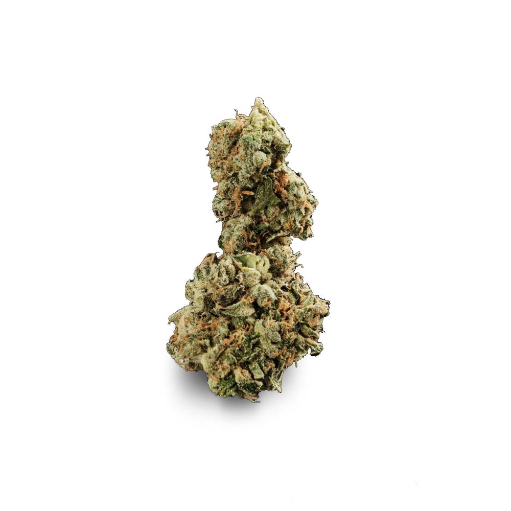 Gmo Garlic Cookies Cannabis Arzt Rezept Apotheke Shop Blute Thc Wirkung