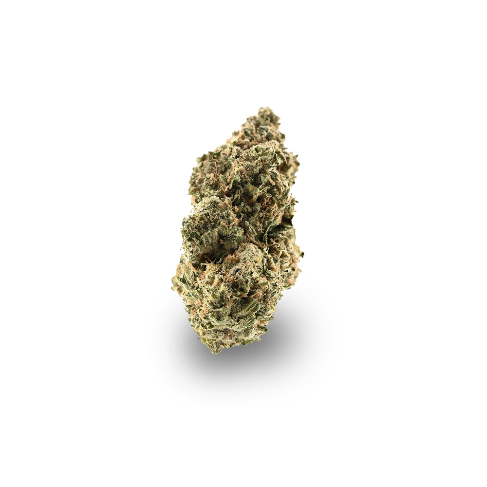 Critical 47